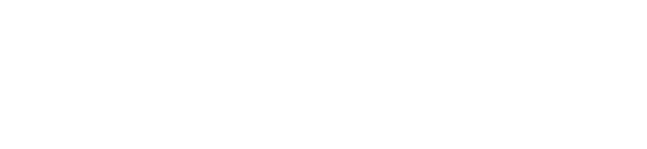 Skatturinn